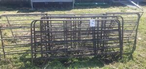 1x Taltec lambing pens