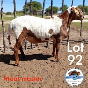 LOT 92 1 x MEATMASTER RAM Toy Katjiova