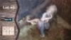1X Blouwildebees M:1 Sekgweng Game Breeders 29 1/8" (Per Piece to take the lot)