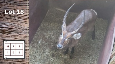 1X WATERBOK M:1