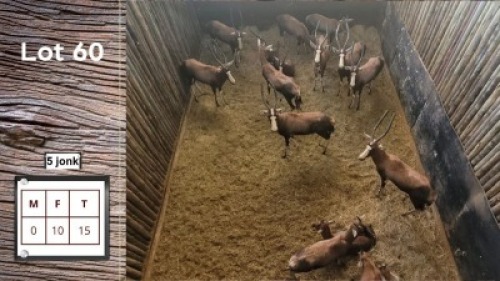 15X BLESBOK F:10 Y: 5 (Per Piece to take the lot/Per stuk om lot te neem)