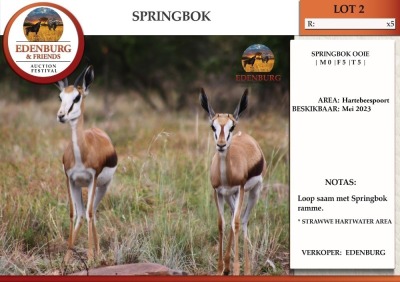 5X SPRINGBOK V/F:5 EDENBURG (Betaal per dier)