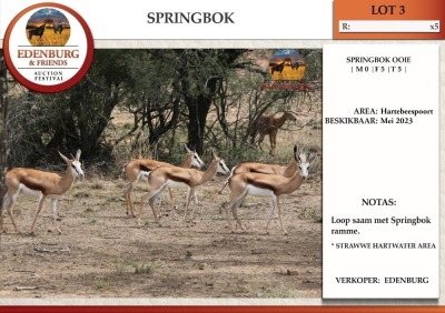 5X SPRINGBOK V/F:5 EDENBURG (Betaal per dier)