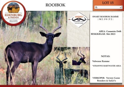 2X SWART ROOIBOK M:2 VERWEY GAME BREEDERS & SAFARI'S (Betaal per dier)