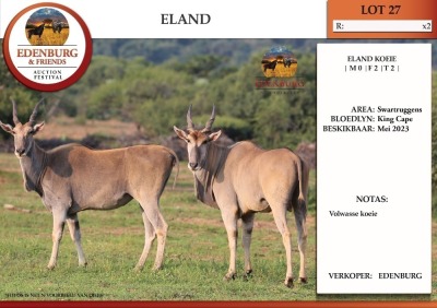 2X ELAND V/F:2 EDENBURG (Betaal per dier)