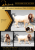 1X BOER GOAT STUD BUCK SHONGOLOLO BOERBOK STOET 1563