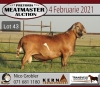 LOT 43 1X MEATMASTER RAM KERN MEATMASTERS