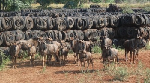 14X Blouwildebees Matlabas Reserve (Per Piece to take the lot)