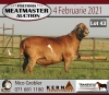 LOT 43 1X MEATMASTER RAM KERN MEATMASTERS - 2