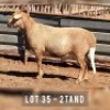 1X MEATMASTER RAM DRIEKOP MEATMASTERS