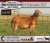LOT 97 1X MEATMASTER RAM KERN MEATMASTERS - 3