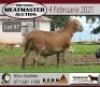 LOT 97 1X MEATMASTER RAM KERN MEATMASTERS - 5