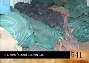 1X 50m (500m) Brown sail