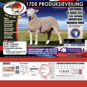 1X ILE DE FRANCE STUD RAM GE 210037 Gerune Familie Trust