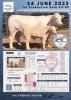 1+1 x CHAROLAIS COW & CALF MCS 200007 - 2