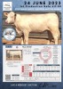 1 x CHAROLAIS HEIFER MCS 200067 - 2