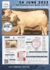 1+1 x CHAROLAIS COW & CALF MCS 190002 - 2