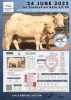 1 x CHAROLAIS COW & CALF MCS 190033 - 2