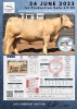 1 x CHAROLAIS COW MCS 110016 - 2