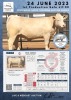 1 x CHAROLAIS HEIFER MCS 210005 - 2