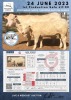 1+1 x CHAROLAIS COW & CALF MCS 170097 - 2