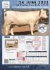 1 x CHAROLAIS HEIFER MCS 210016 - 2