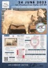 1+1 x CHAROLAIS COW & CALF MCS 170037 - 2