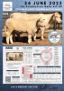 1+1 x CHAROLAIS COW & CALF MCS 170040 - 2