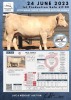 1 x CHAROLAIS HEIFER MCS 210003 - 2