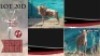 2X Goue Wildebees M:2 25 4/8";26" Thaba Tholo (Per Piece to take the lot)