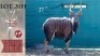 1X Njala M:1 27" Thaba Tholo
