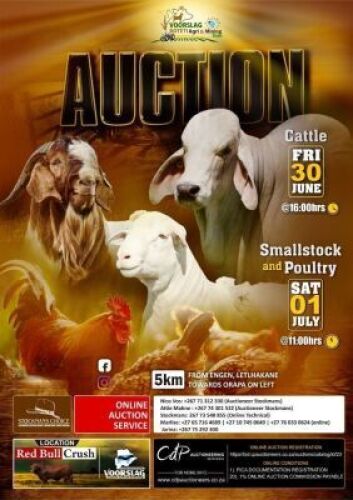 Cattle & Poultry Fri 30 June @ 16:00 / Small Stocky 01 July 2023 @ 11:00