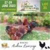 3 x Jubilee Orpington Rooster + Hen Andrew Liversage (Pay per Animal)