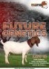 1X Boer Goat Buck Wadipudi