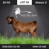 1X Kalahari Red Buck Drill Rite