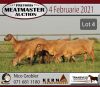 LOT 4 5X MEATMASTER OOI/EWE KERN MEATMASTERS(PER STUK OM LOT TE NEEM/PER PIECE TO TAKE THE LOT)