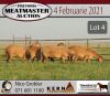 LOT 4 5X MEATMASTER OOI/EWE KERN MEATMASTERS(PER STUK OM LOT TE NEEM/PER PIECE TO TAKE THE LOT) - 3