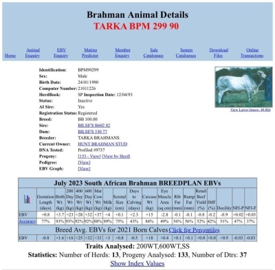 5X Grey Brahman SEMEN BPM 299 Toteng (Pay per Piece)