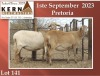 2X MEATMASTER OOI/EWE KERN MEATMASTERS (Pay per Animal) - 2