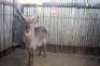 LOT 15 1 X M:1 WATERBOK MBWB2