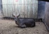 LOT 25 1 X M:1 WATERBOK MBWB2 - 2