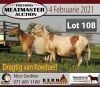 LOT 108 3X MEATMASTER OOIE/EWE KERN MEATMASTERS(PER STUK OM LOT TE NEEM/PER PIECE TO TAKE THE LOT)