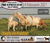 LOT 108 3X MEATMASTER OOIE/EWE KERN MEATMASTERS(PER STUK OM LOT TE NEEM/PER PIECE TO TAKE THE LOT) - 3