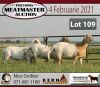 LOT 109 3X MEATMASTER OOI MET LAMMERS/EWE WITH LAMBS KERN MEATMASTERS(PER STUK OM LOT TE NEEM/PER PIECE TO TAKE THE LOT) - 2