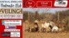 4X MEATMASTER OOI/EWE Vrede Meatmasters (Pay per animal to take all)