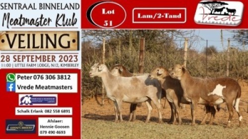 4X MEATMASTER OOI/EWE Vrede Meatmasters (Pay per animal to take all)