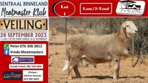 1X MEATMASTER RAM Vrede Meatmasters