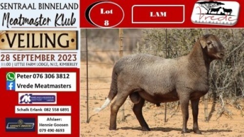 1X MEATMASTER RAM Vrede Meatmasters