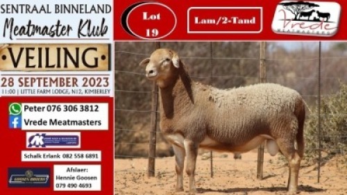 1X MEATMASTER RAM Vrede Meatmasters
