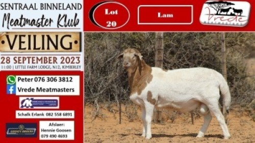 1X MEATMASTER RAM Vrede Meatmasters